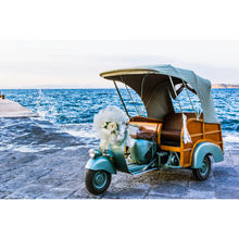 Load image into Gallery viewer, Wedding Transportation