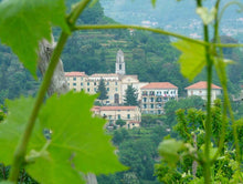Load image into Gallery viewer, Cooking Class &amp; Wine Tasting in Tramonti

